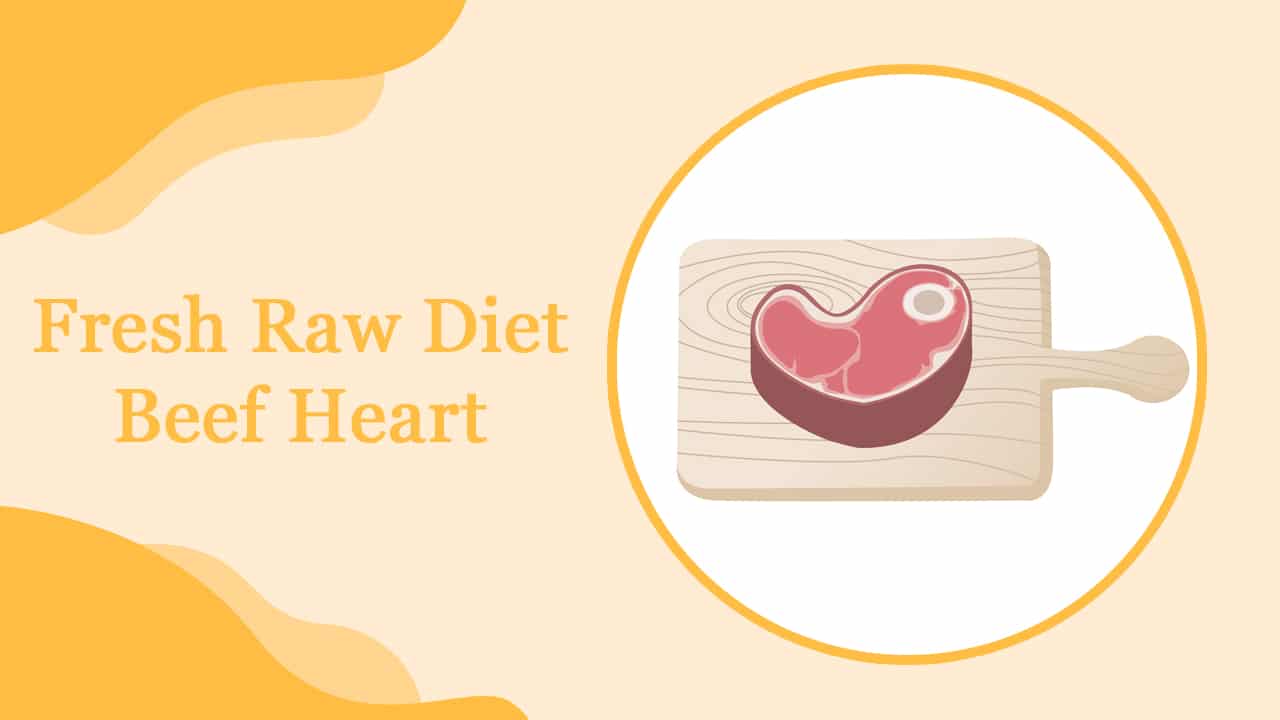 Hairless Cat Fresh Raw Diet – Beef Heart