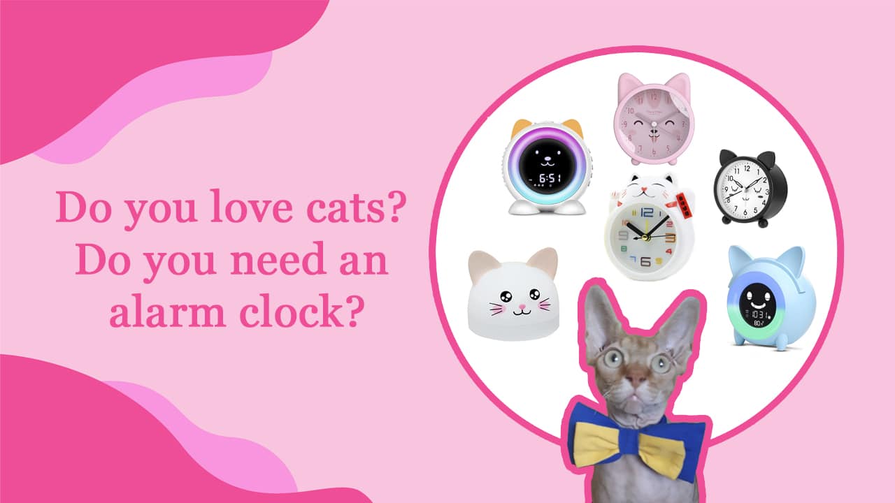 The Epic Buyer’s Guide to the Cute and Useful Alarm Clock for Cat Lovers