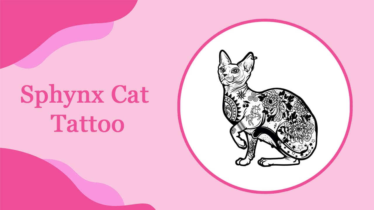 Sphynx Cat Tattoo
